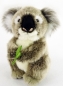 Preview: Koala 16 cm